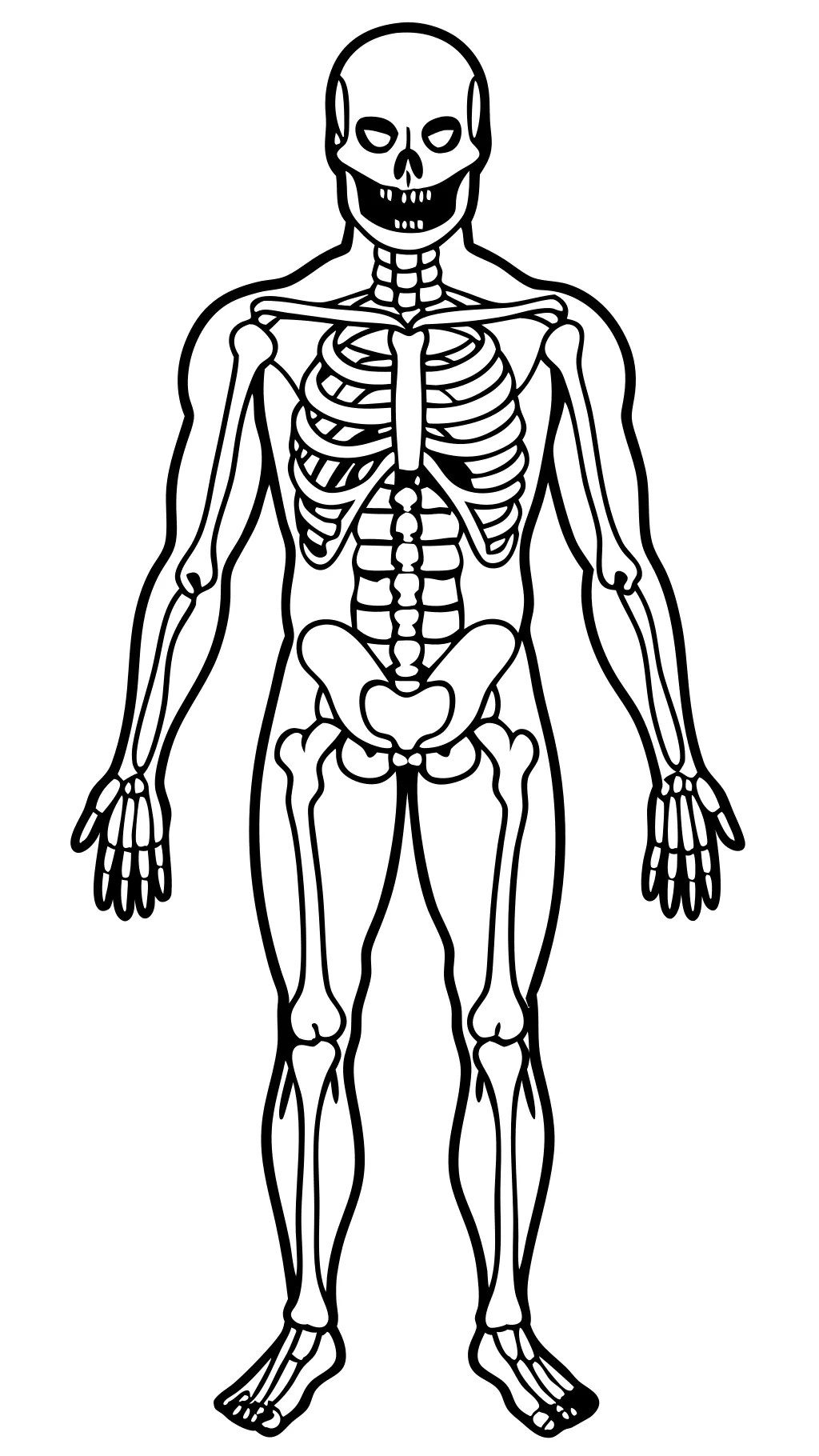 páginas de color de anatomía